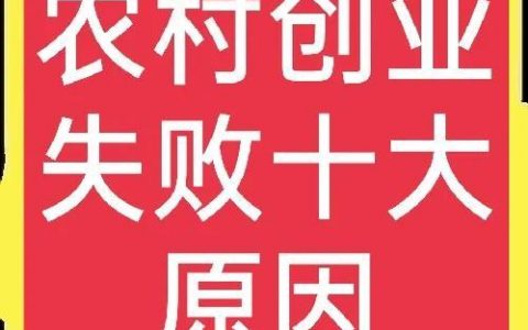 创业过程中的风险因素包括，创业风险主要由风险因素？